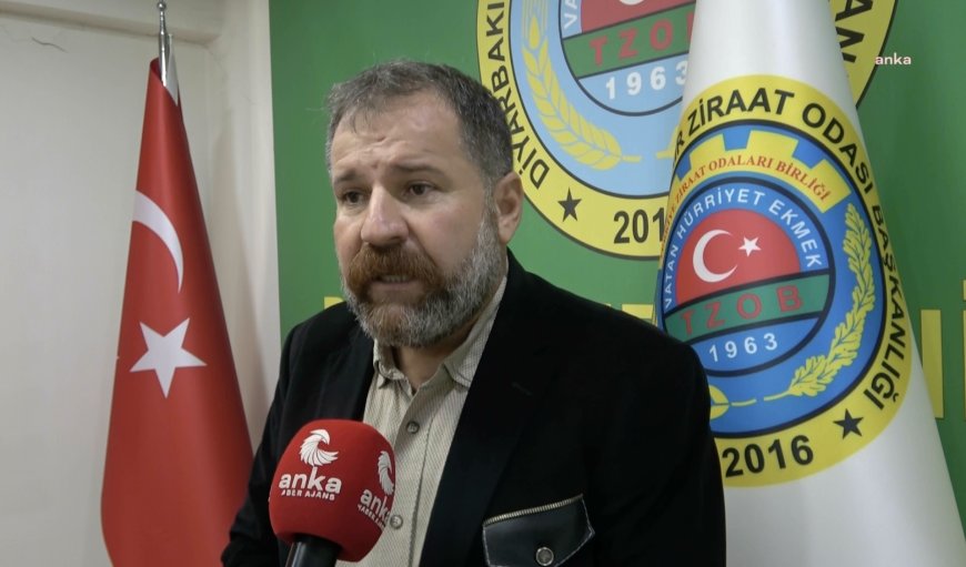 Mısırda ithalat vergisi indirimine tepki… Diyarbakır Ziraat Odası Başkanı İskenderoğlu: “Türk çiftçisine yapılan büyük bir ihanettir”