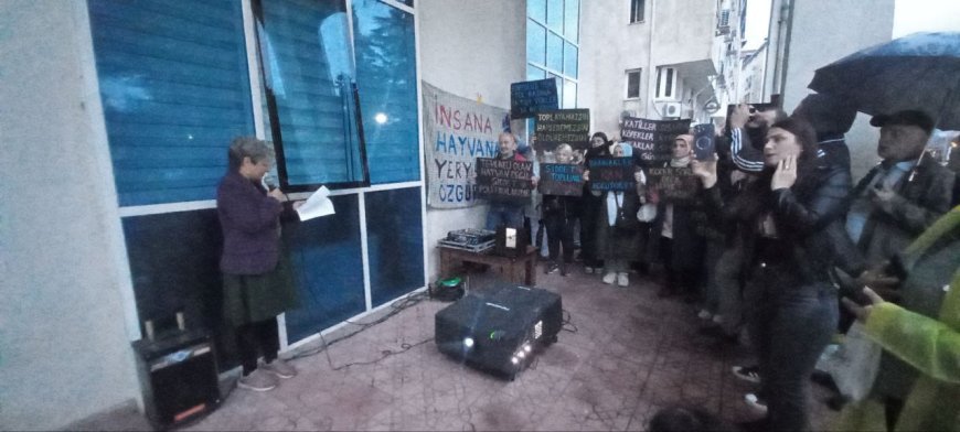 AK Partili Belediye Meclis Üyelerinin kadın cinayetlerine ilişkin sözlerine tepki: "Kadın cinayetlerinde tek suçlu mensubu olduğun partidir"