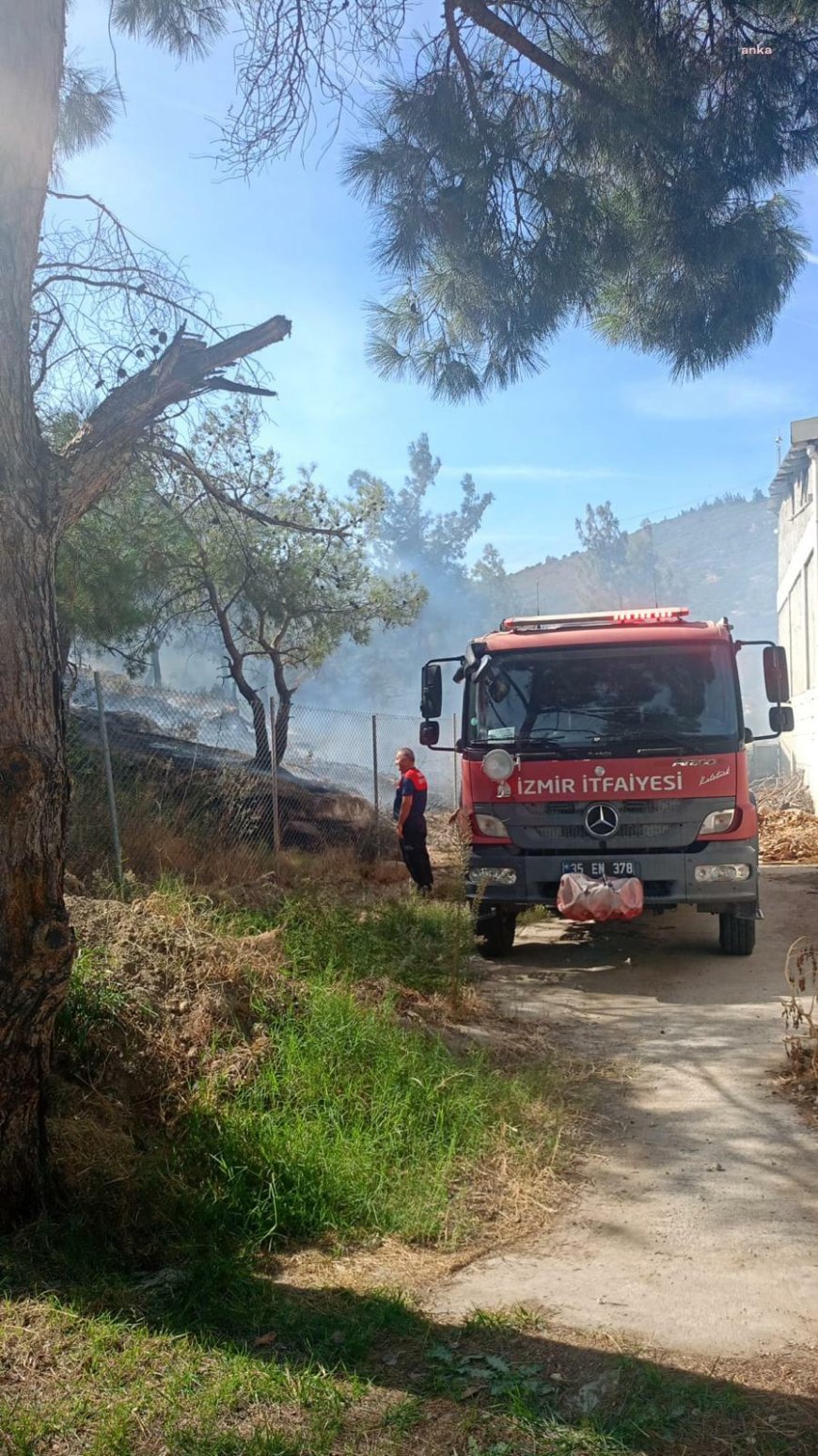 Foça’daki yangından kurtarılan kaplumbağa veteriner hekimlere teslim edildi