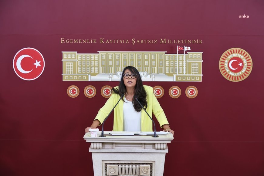 Polonez işçileri, TBMM'de TİP'li Kadıgil'in basın toplantısında konuştu: "146 işçi geri alınana kadar kimse Polonez ürünü almasın"