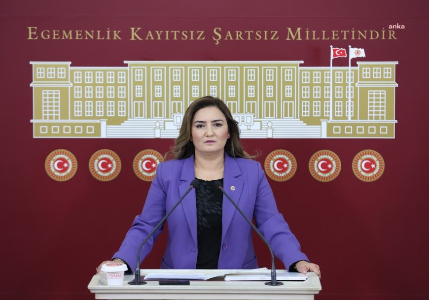 Sevda Erdan Kılıç: "2024 yılının ilk 9 ayında 35 çocuk aile katliamları sonucu katledildi. Şiddet sarmalı çocukları da yutmaya başladı"