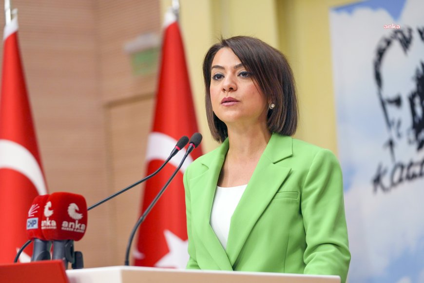 Gamze Taşcıer: "Hükümetin bütçe açığını finanse etmek adına yükü Yurttaşbank’a yüklemiş''