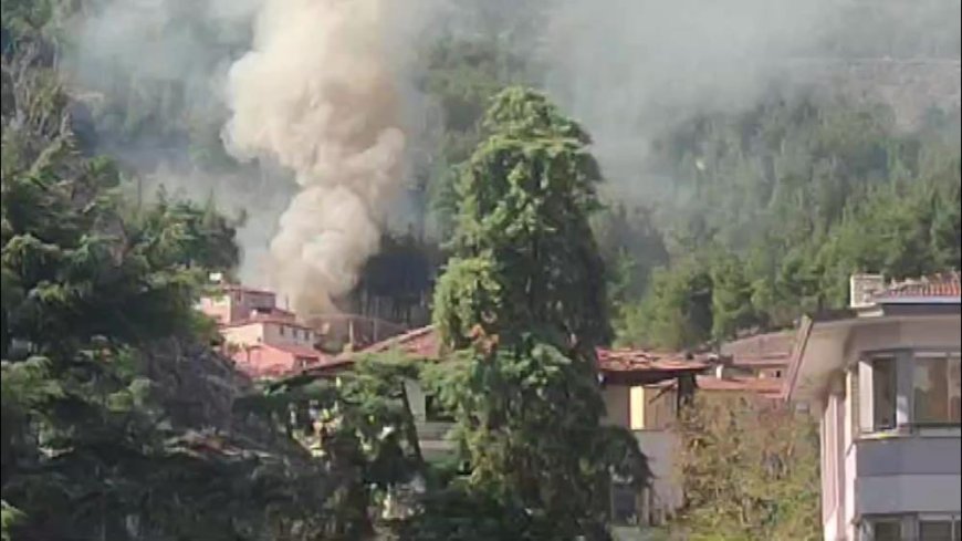 Amasya'da ormana bitişik 3 ev yangında kül oldu
