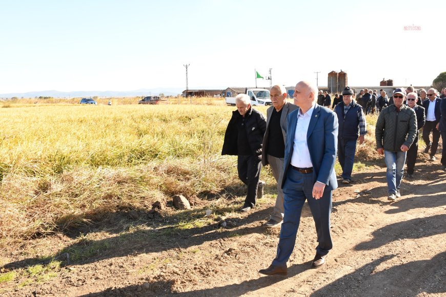 TZOB Başkanı Bayraktar: "Dolu afeti sonrası çeltikte yüzde 100’e varan oranda zarar var"