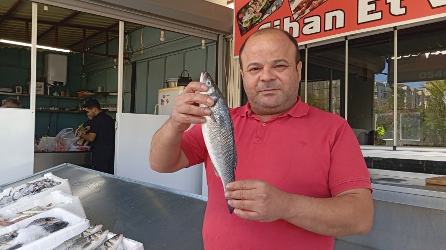 Balık satan esnaf: "Yarım balık soranlar var, bir levreği ikiye bölmek istiyorlar"
