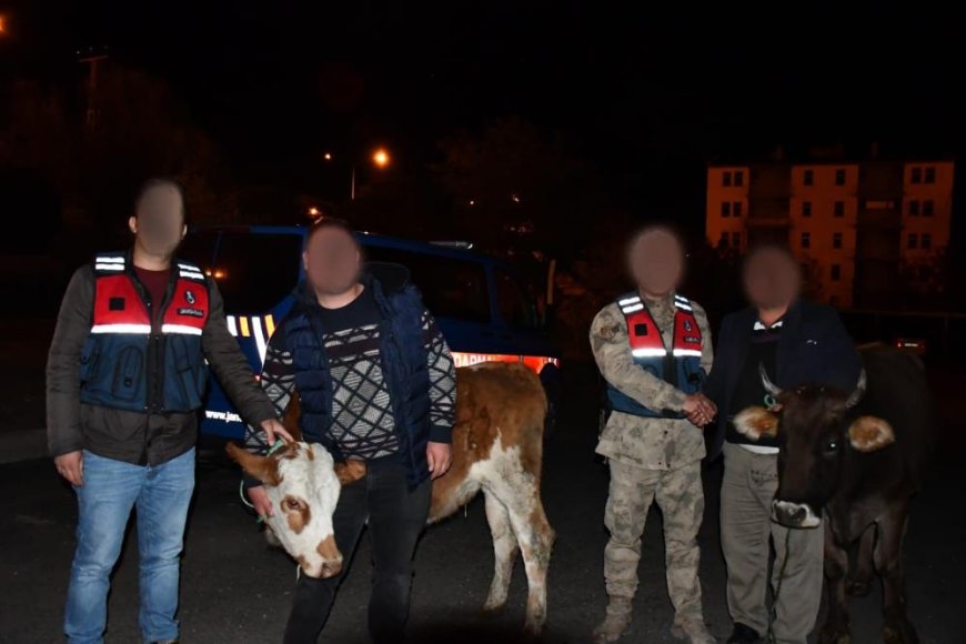 Horasan’dan hayvan çalan hırsız Sarıkamış’ta yakalandı (Düzeltme)