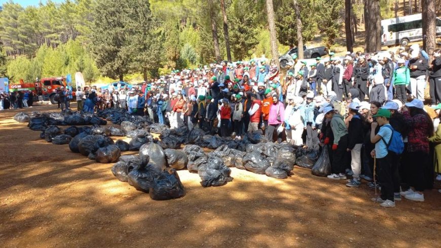 Kahramanmaraş'ta ormanlar temizleniyor