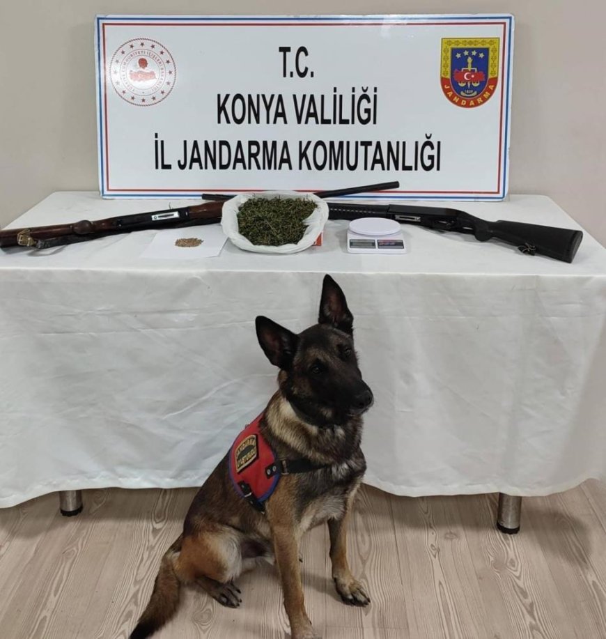 Konya'da jandarma ekiplerinden uyuşturucu operasyonu