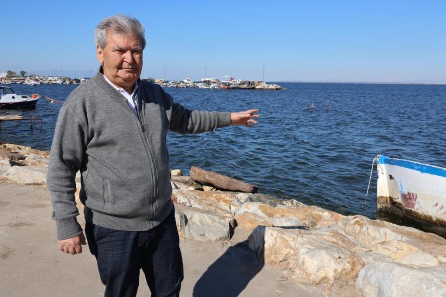 İzmir Körfezi'ndeki balık ölümleri ile dünya rekoru kırıldı