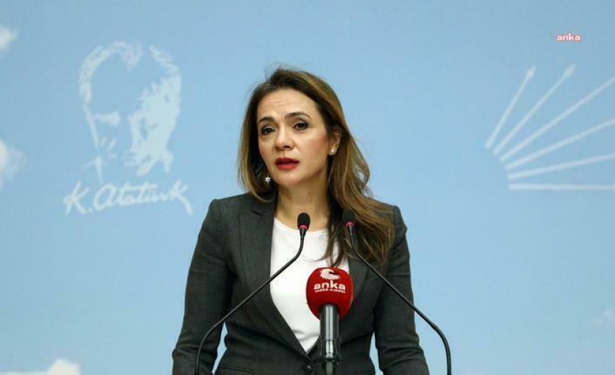 Gamze Akkuş İlgezdi: "AKP’nin eğitim sistemi iflas etti"