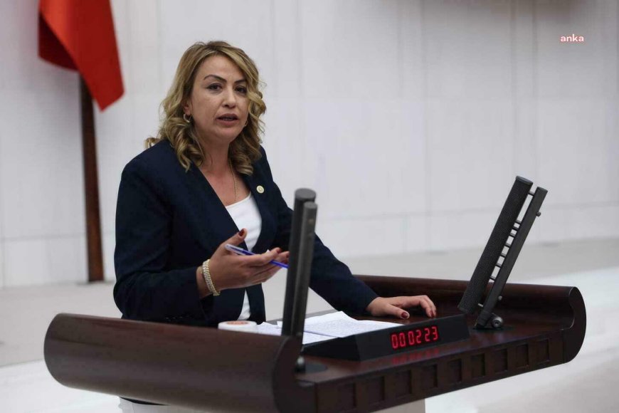 CHP'li Nermin Yıldırım Kara: Hatay'ın tarlalarındaki bir küçülme Türkiye'nin sofrasından eksilme demektir