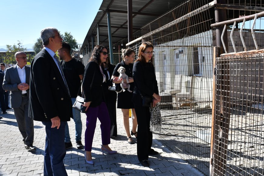 Manisa Büyükşehir Belediye Meclisi Sokak Hayvanları Komisyonu çalışmalarını sürdürüyor