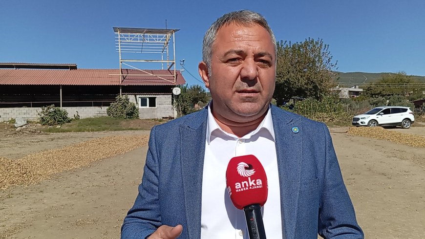 Osmaniyeli yer fıstığı üreticisi: "Keşke ekmeseydik, tarlada kalsa bundan daha iyiydi"