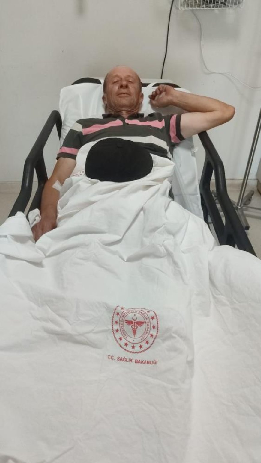 Bilecik'te domuzları avlayan 1 avcı yaralandı