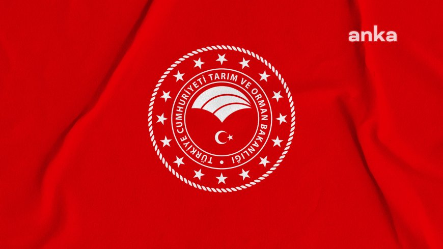 Tarım ve Orman Bakanlığı: Kaçak yollarla ülkeye sokulmaya çalışılan 17 adet Nil timsahı ile 10 adet Nil varanına el konuldu
