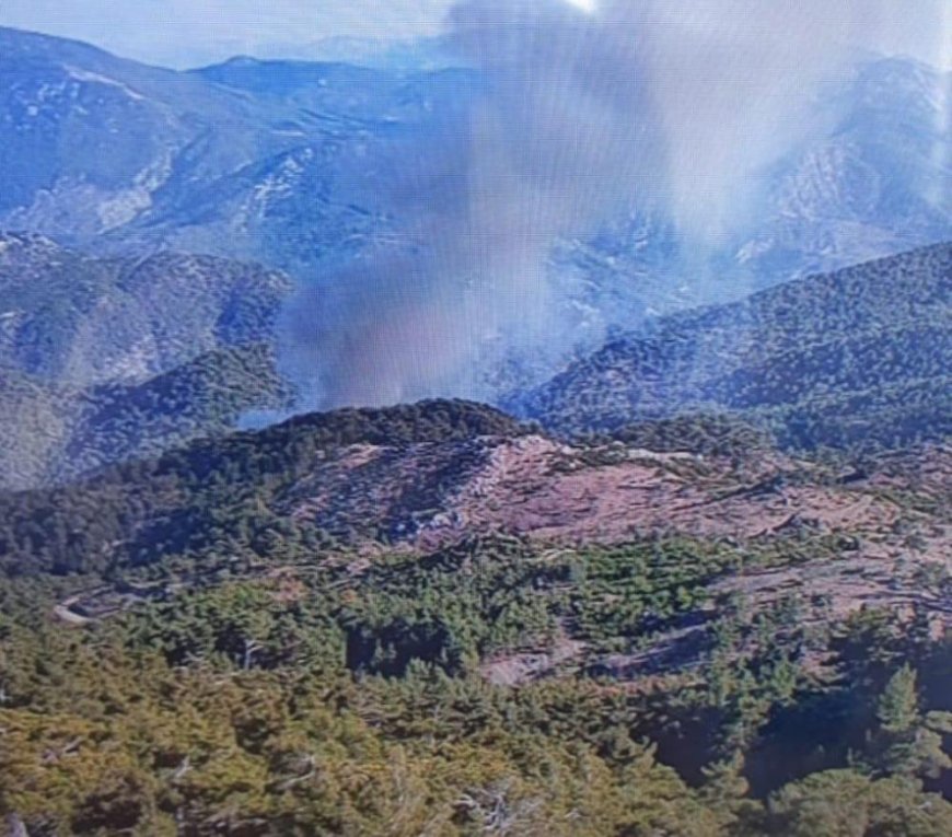 Köyceğiz'de orman yangını devam ediyor