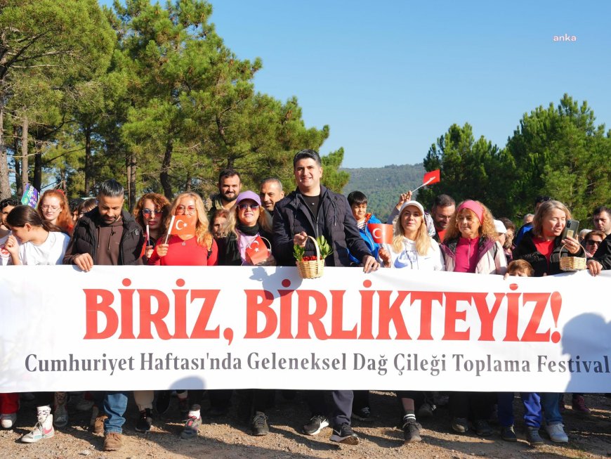 Doğaseverler, Ataşehir Belediyesi'nin düzenlediği etkinlikte Kayışdağı Ormanı'nda dağ çileği topladı