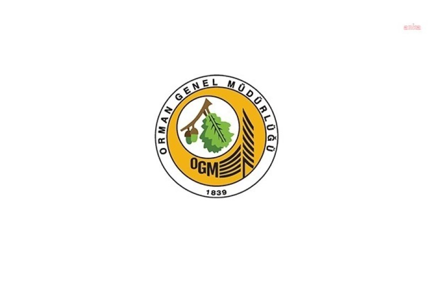 OGM: Hatay'daki orman yangını kontrol altına alındı