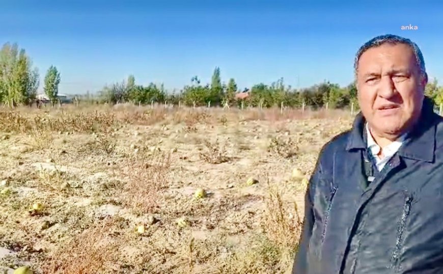 Ömer Fethi Gürer: “Çiftçimize 'Dağı taşı ekin, biz sizin ürününüzü alacağız' diyen siyasi iktidar, ürünün tarlada kalmasını seyretti”