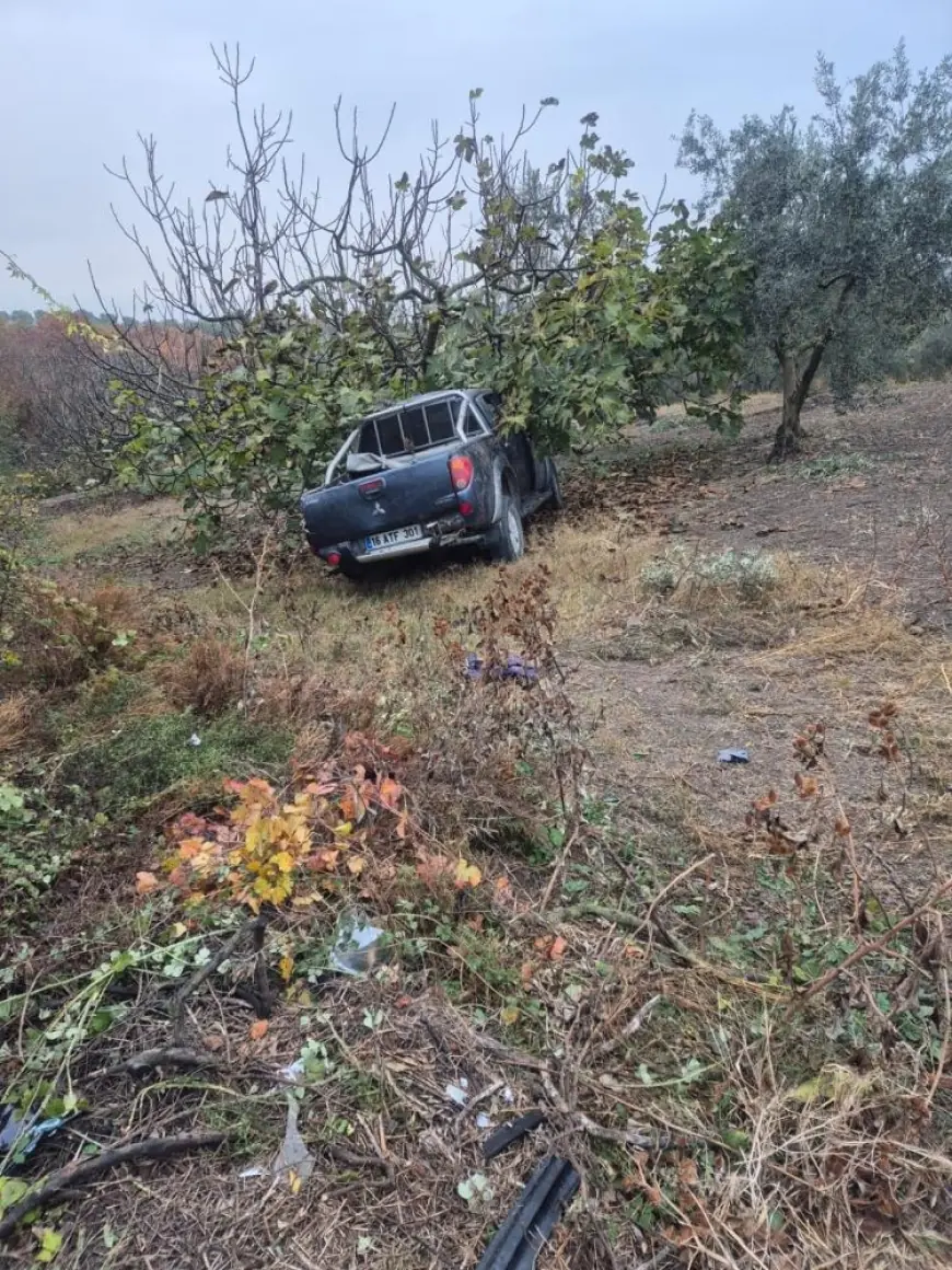İşçileri taşıyan kamyonet ağaca çarptı: 1 ölü, 7 yaralı