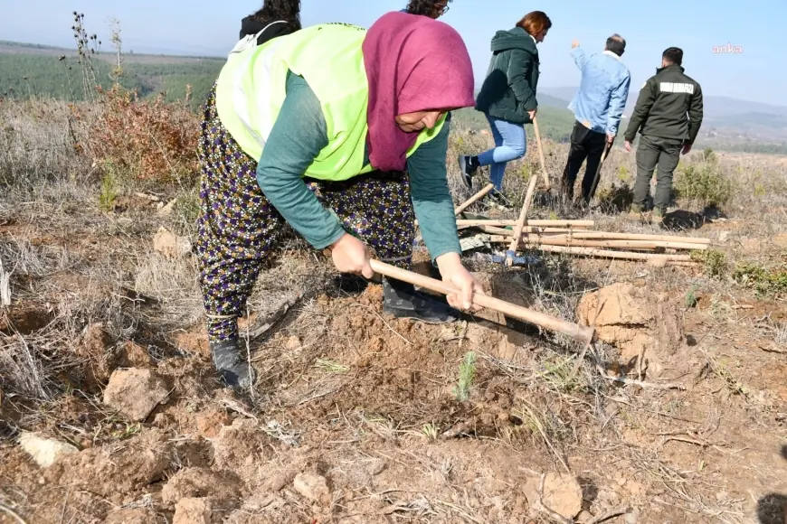 Balıkesir'de 100. Yıl Ormanı Dikim Şenliği’nde fidanlar toprakla buluştu.
