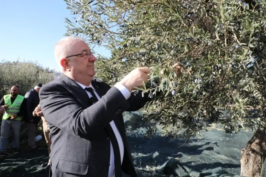 Edremit Belediye Başkanı Mehmet Ertaş: "Tek Bir Zeytin Tanesi Heba Olmuyor!"