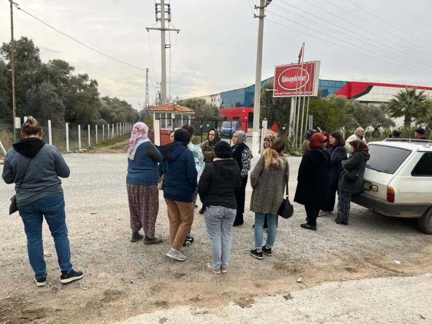 İflas Eden İşletme, Alacaklıların Baskısı Altında!