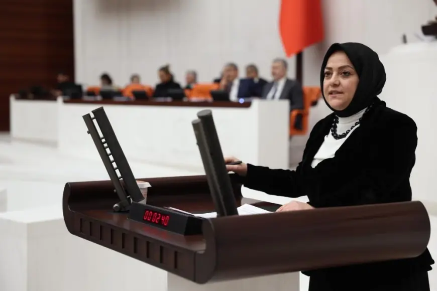 Milletvekili Ün: "TÜBİTAK'ın reddettiği projeler yurt dışında ödüllendiriliyor"