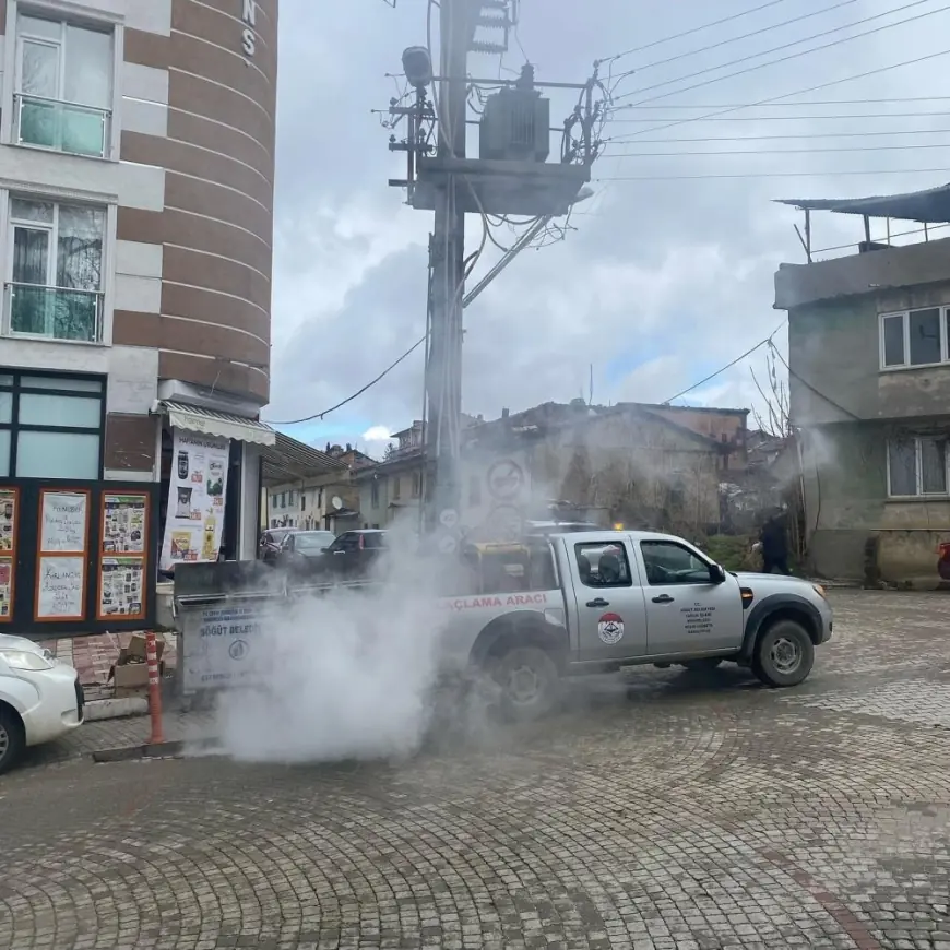 Söğüt Belediyesi'nden sinek ve larva ilaçlama atağı