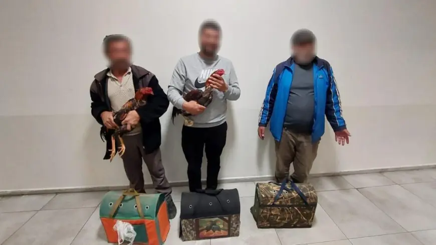 Antalya'da dövüşe hazırlanan horozlar muhafaza altına alındı