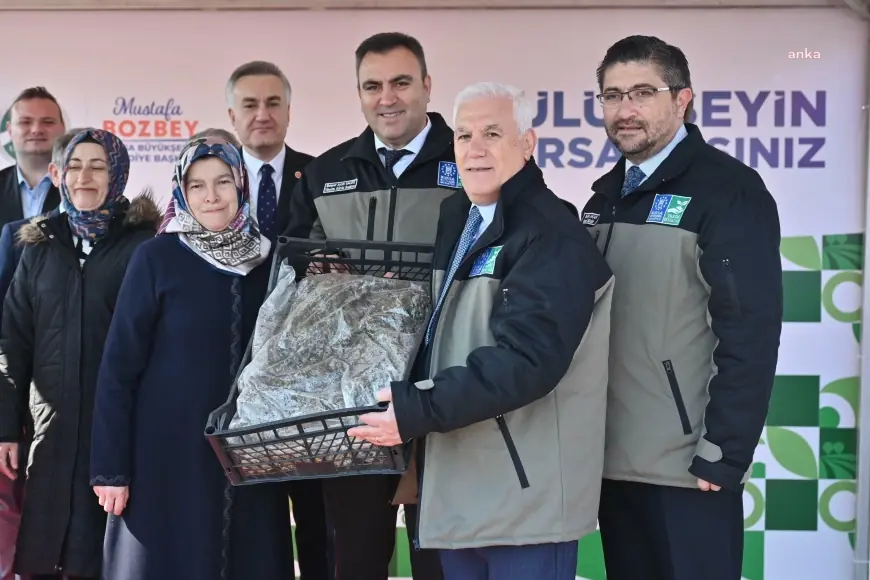 Bursa Büyükşehir Belediyesi'nden çiftçiye 1 milyon 222 bin adet çilek fidesi