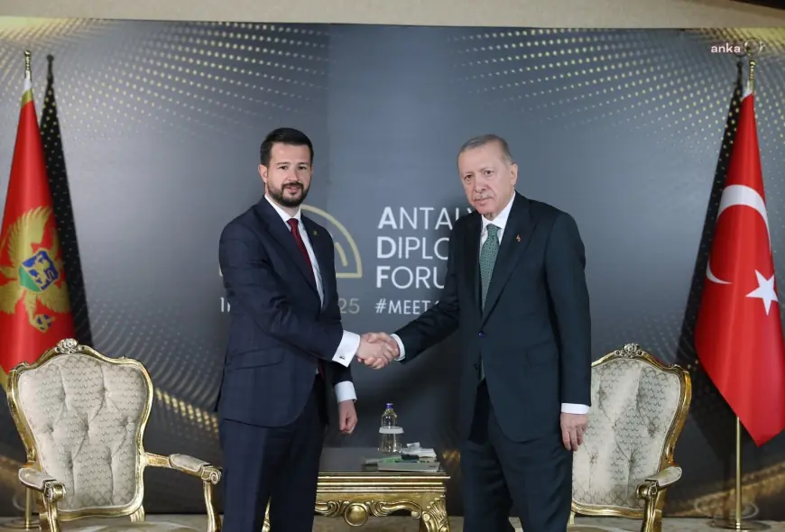 Cumhurbaşkanı Erdoğan, Karadağ Cumhurbaşkanı Jakov Milatoviç ile görüştü