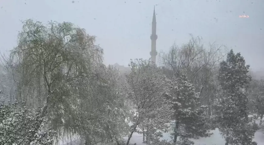Aksaray, bahar ayında beyaza büründü