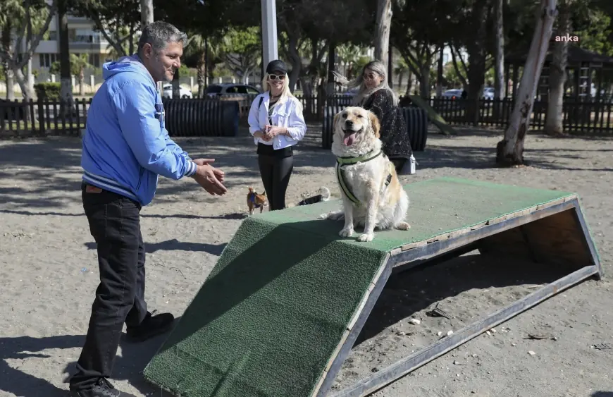 Mersin'de patili dostlar, köpek oyun alanında enerjilerini atıyor