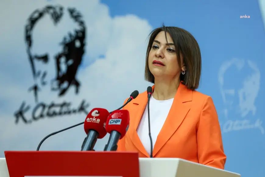 CHP’li Taşcıer'den 'normal doğum pankartı'na tepki: “Biz normaliz, anormal olan sizin sapkın zihinleriniz”