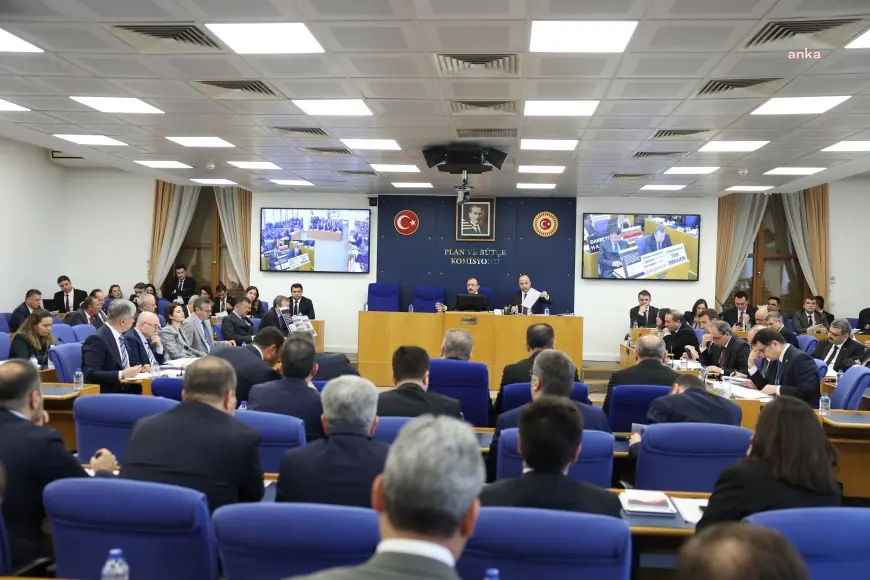 TBMM Plan ve Bütçe Komisyonu... Gülcan Kış: "Bu teklif, yürütmenin geçmişte yaptığı Anayasa'ya aykırı işlemleri yasama eliyle meşrulaştırmaktır."