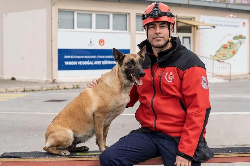 İzmir’in patili dostları afetlerde mucize yaratıyor