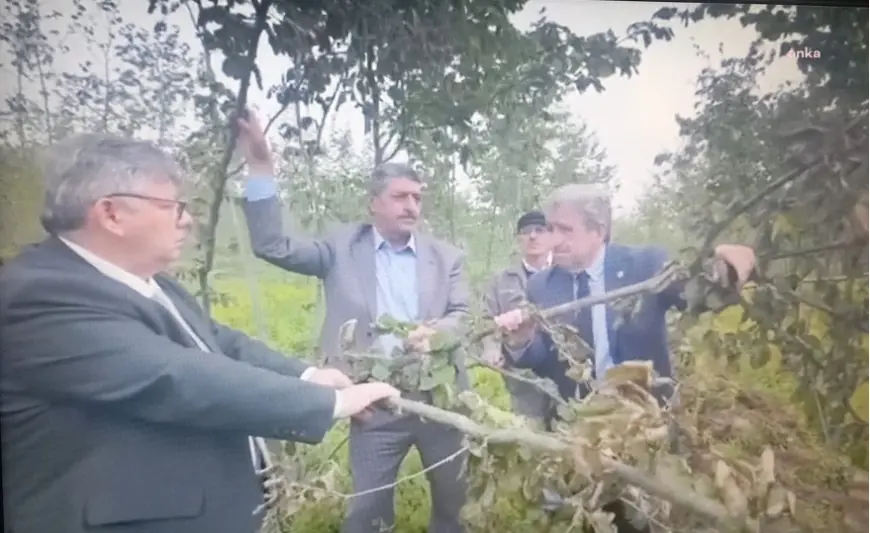 CHP Samsun Milletvekili Çan: "Devlet, Meteoroloji, Tarım Bakanlığı sadece zirai donu seyretmekle kaldı"