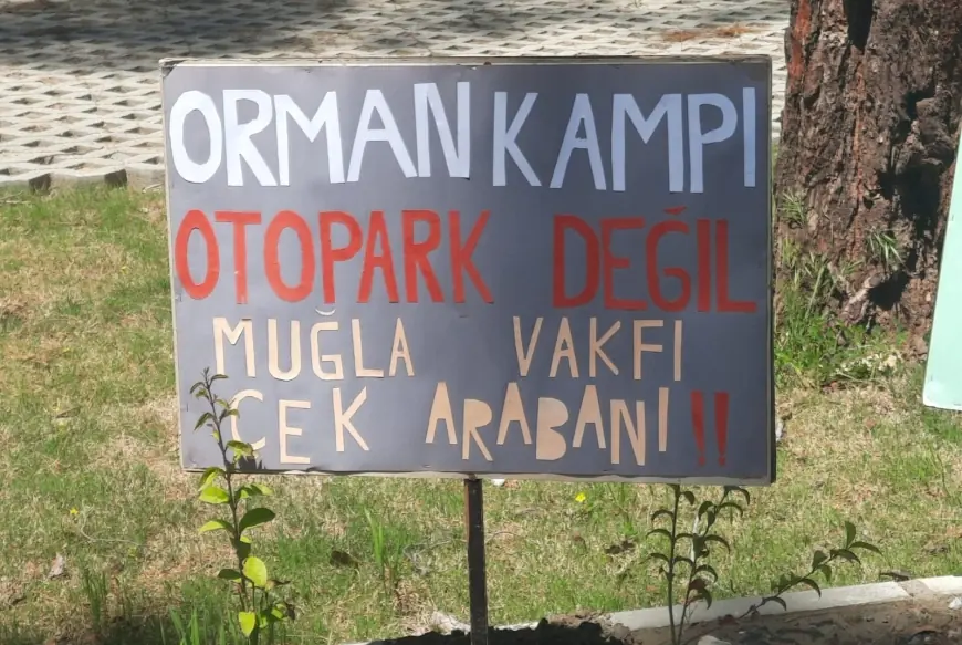 Muğla’da Akyaka Orman Kampı işletme sözleşmesinin iptali için dava açıldı
