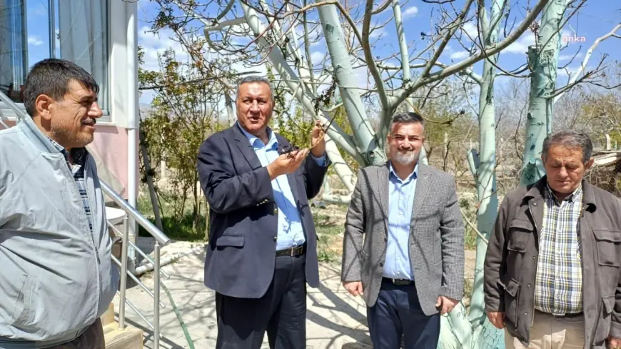 CHP'li Gürer'den zirai don açıklaması: "Üreticinin zararı karşılanmazsa, önümüzdeki yıl üretimi sürdürmek mümkün olmayacak"