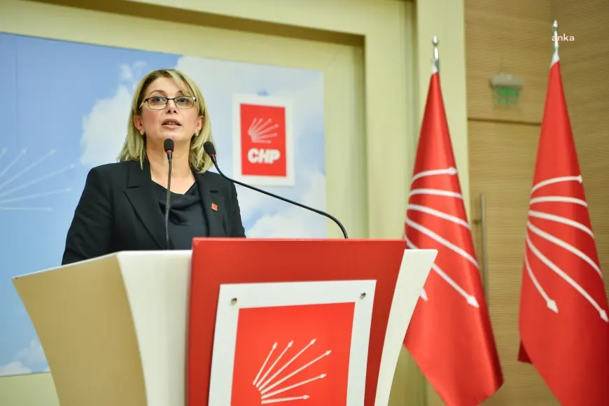 Asu Kaya'dan Bakan Memişoğlu'na tepki: "Binlerce kadını, ebeveyni, aileyi silme cüretini nereden buluyorsun?"