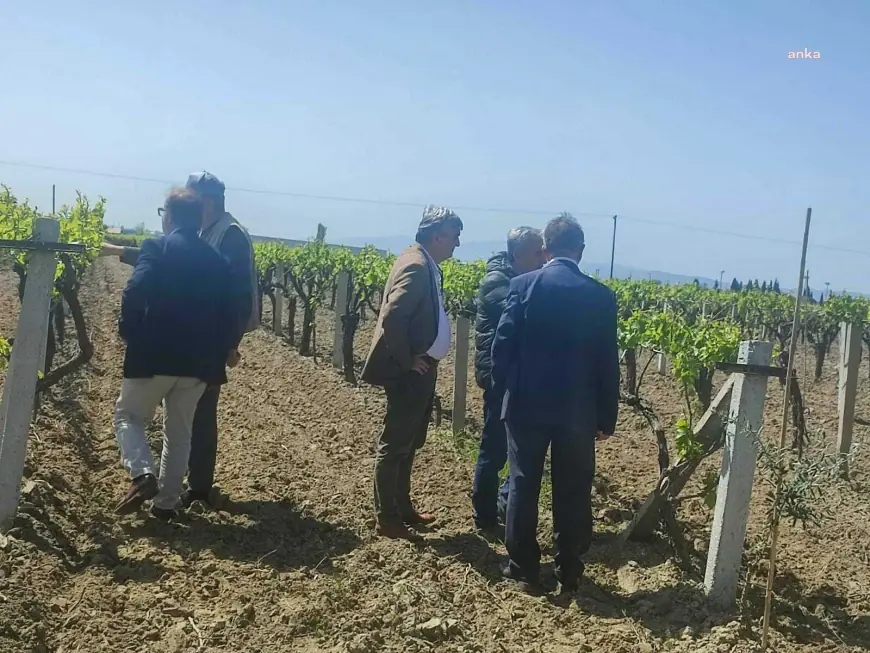 Manisa Büyükşehir Belediyesi'nden zirai don olaylarından zarar gören üreticilere destek