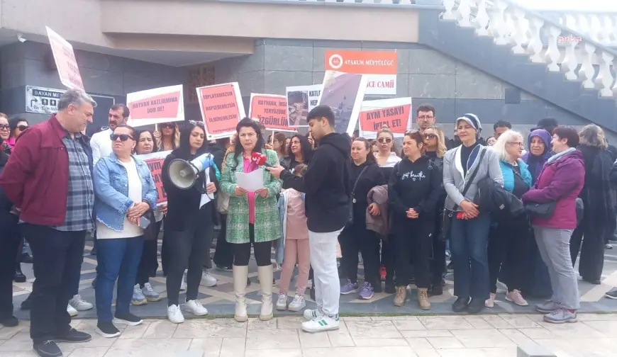 Samsun’un Atakum ilçesinde bir kedinin iple asılarak öldürülmesine hayvanseverlerden tepki