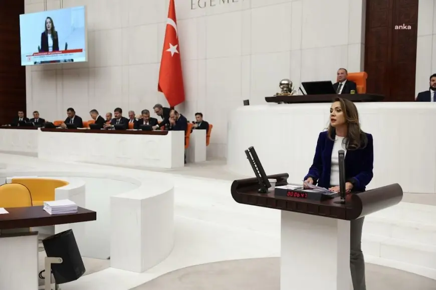 Gamze Akkuş İlgezdi: “Dava açılmayan cinsel istismar dosyaları endişelerimizi artırıyor”