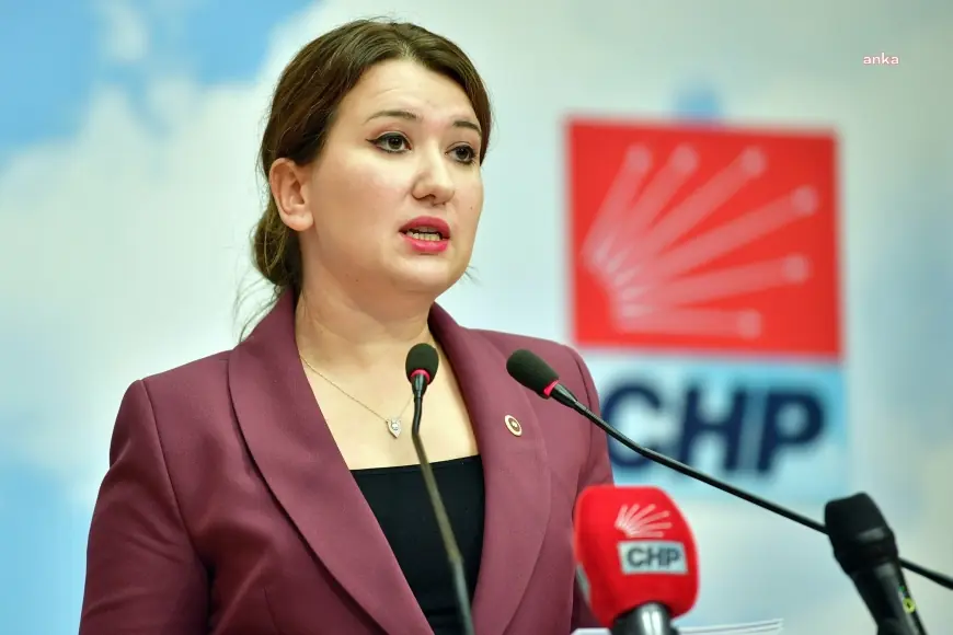 Özgür Özel'e saldırı... Gökçe Gökçen: "Böyle alçakça saldırılarla korkutabileceğini zannedenler büyük hüsrana uğrayacaklar"