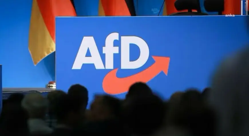 Almanya İçin Alternatif Partisi, Anayasayı Koruma Teşkilatı Tarafından Aşırı Sağcı Oluşum Olarak Sınıflandırılmasına Tepki Gösterdi