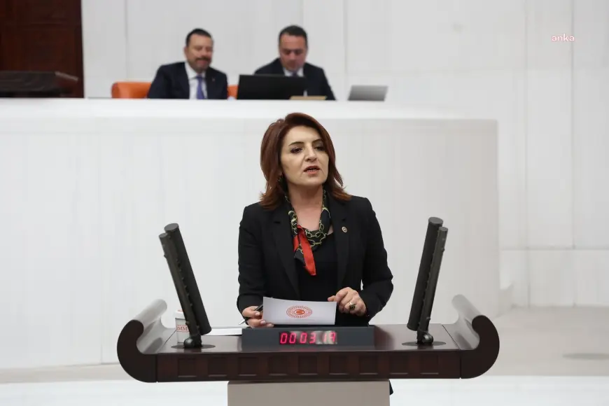 CHP'li Kış: “Türkiye’de her haneye bir icra dosyası düşüyor”