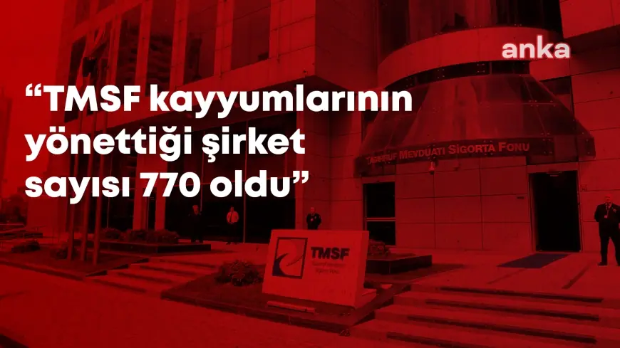 Son operasyonlarla TMSF kayyumlarının yönettiği şirket sayısı 770’e yükseldi: Banka, TV, hamburgerci, çerezci, reklamcı, gece kulüpleri, elektrik santralları