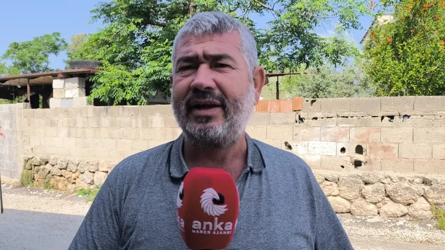 Kurak havalar nedeniyle buğday tarlalarını söken çiftçiler: "Köylünün hali harap"