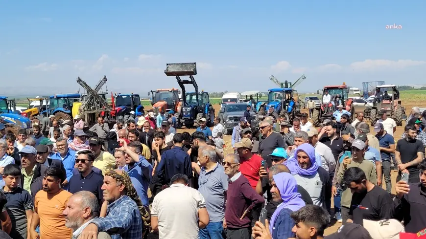 Reyhanlı’da soğanları döken çiftçiler eylem yaptı: Bizi terörist ilan ediyorsunuz, biz üreticiyiz